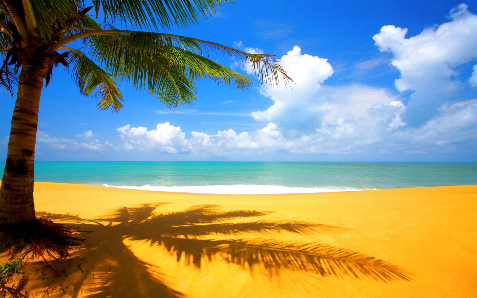 La plage. C'est bien. Un point. 