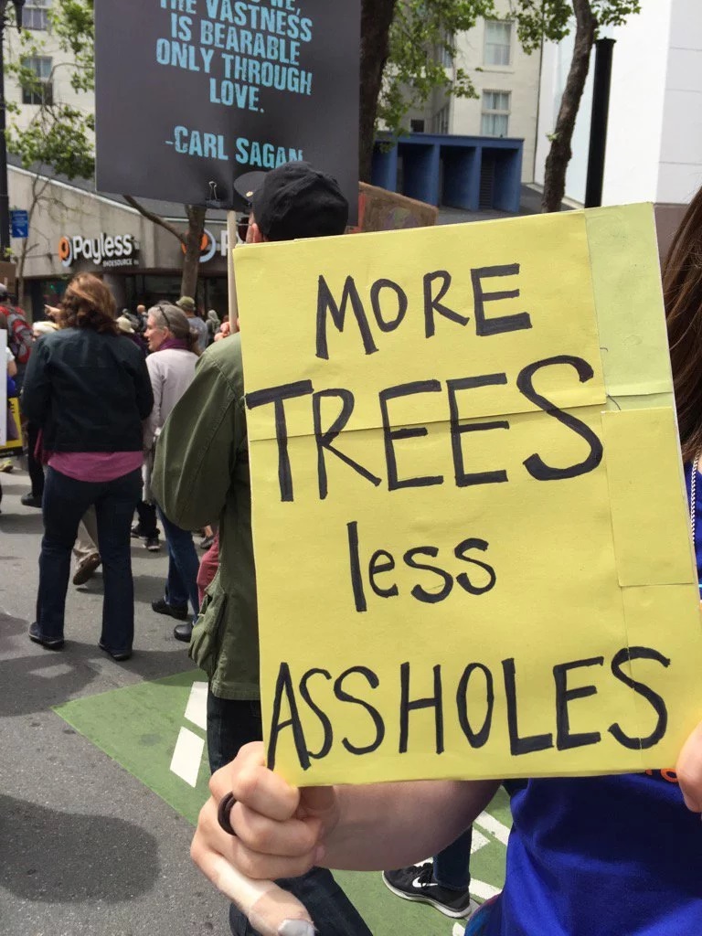 more trees less assholes